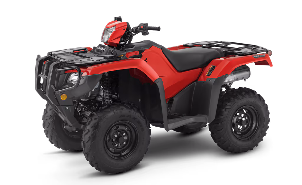 Model Image