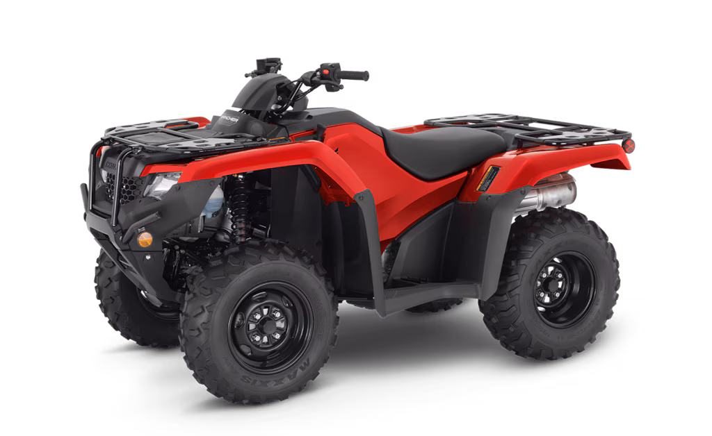 Model Image